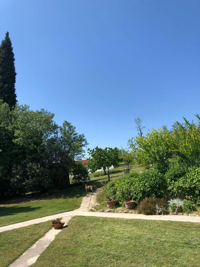 B&B Corte Preare Lavagno Exteriör bild